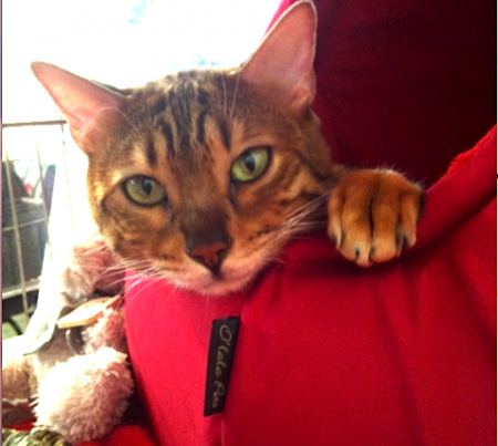 EXPO CHATILLON SEPTEMBRE 2015 HEAVEN