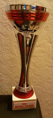 Heaven best in show 5 nov 2016 Bezons