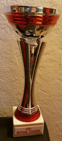 Heaven best in show 6 nov 2016 Bezons