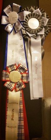 Heaven parc floral 8/9 octobre 2016 cocardes nominations des 2 jours + Cocarde Best in show du 8 octobre