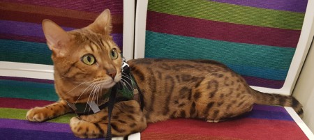 Heaven au retour de l'expo Parc Floral oct 2016 dans le métro