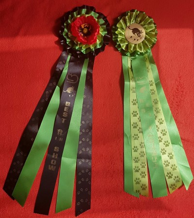 Best variété et best in show Heaven 1 avril 2017 espace Champerret